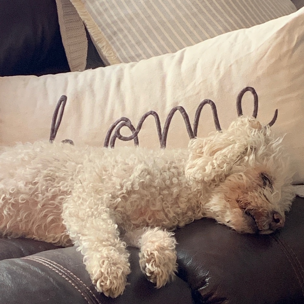 Meet your Posher, Melissa